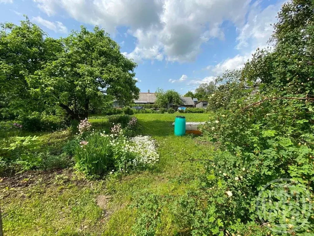 Участок в Ленинградская область, Волосовский район, Большеврудское ... - Фото 1