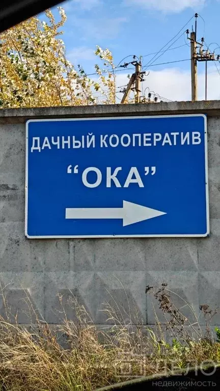 Участок в Рязанская область, Рязанский муниципальный округ, Ока ДПК ... - Фото 2