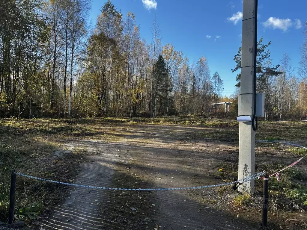 Участок в Ленинградская область, Всеволожск ул. Радужная, 5 (8.24 ... - Фото 1