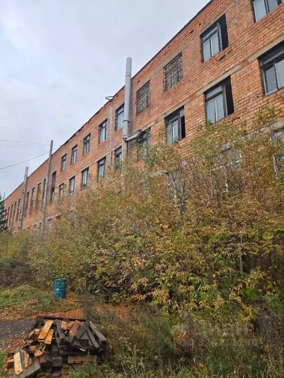 Помещение свободного назначения в Новосибирская область, Новосибирск ... - Фото 1