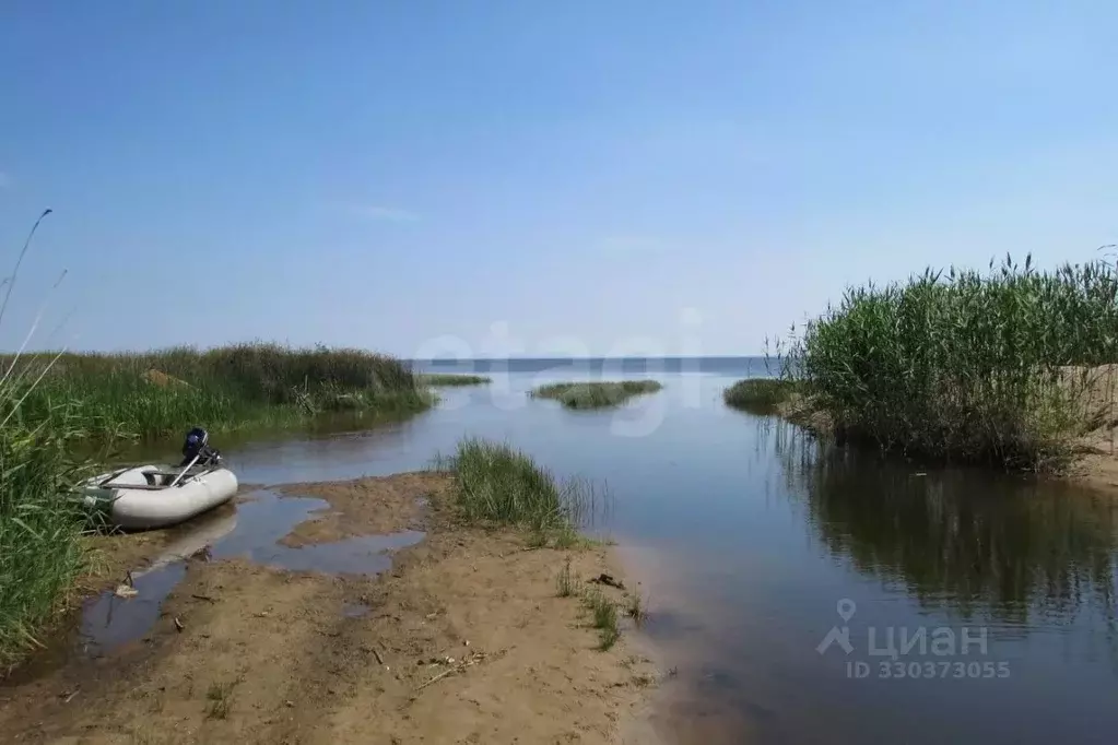 Участок в Псковская область, Печорский муниципальный округ, д. Моложва ... - Фото 2