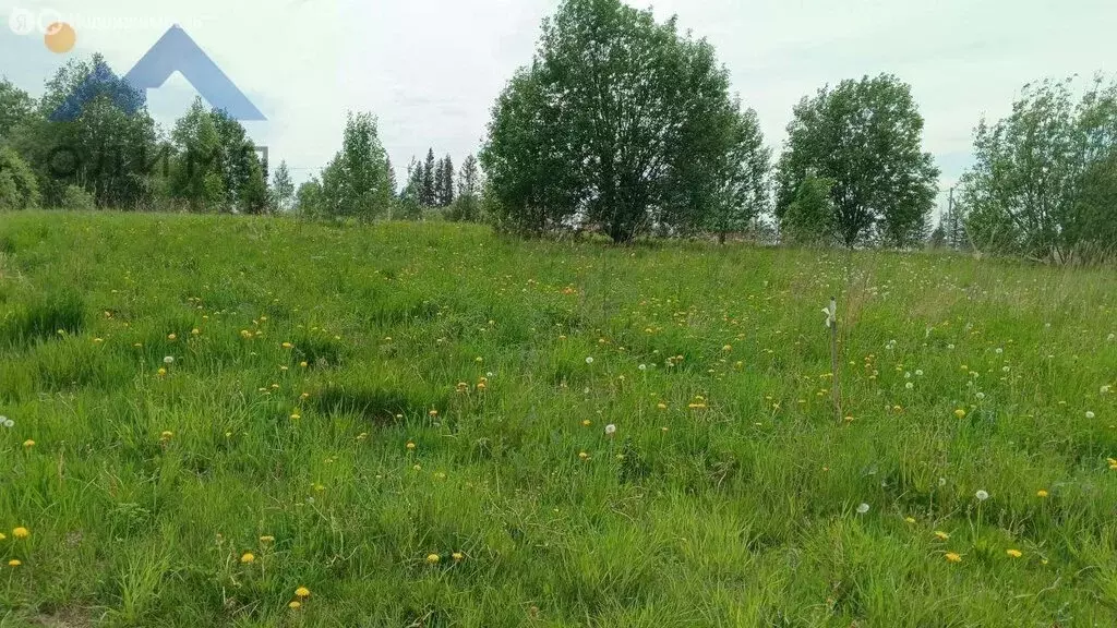 Участок в Вологодский муниципальный округ, посёлок Огарково (18 м) - Фото 0