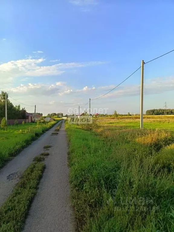 Участок в Омская область, Омский район, Лузинское с/пос, пос. ... - Фото 1