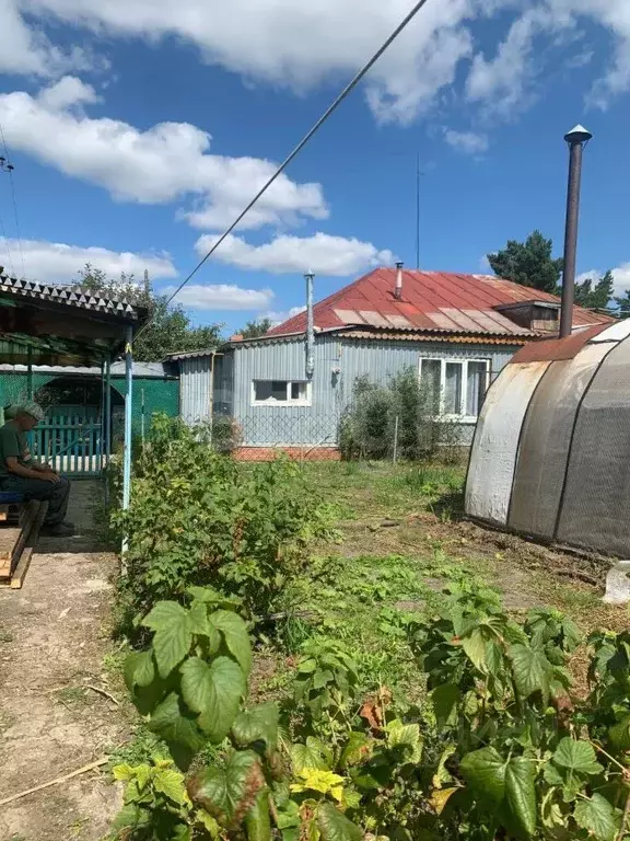 3-к кв. Курганская область, Далматовский муниципальный округ, д. ... - Фото 1