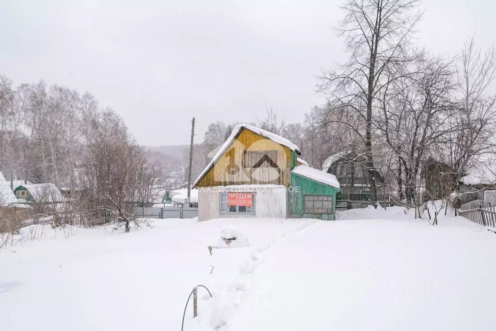 Участок в Новосибирская область, Новосибирск Садовод-Любитель СНТ, 196 ... - Фото 1