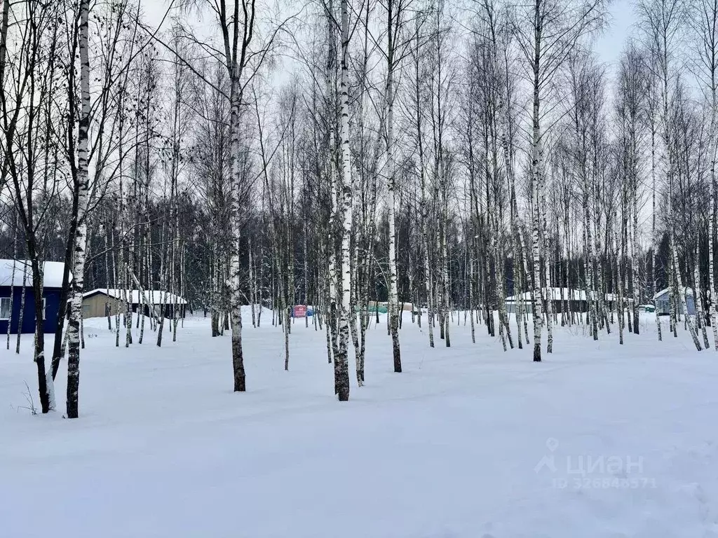 Участок в Московская область, Домодедово городской округ, д. Шишкино, ... - Фото 1