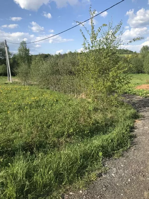 Участок в Московская область, Солнечногорск городской округ, Каравай ... - Фото 1