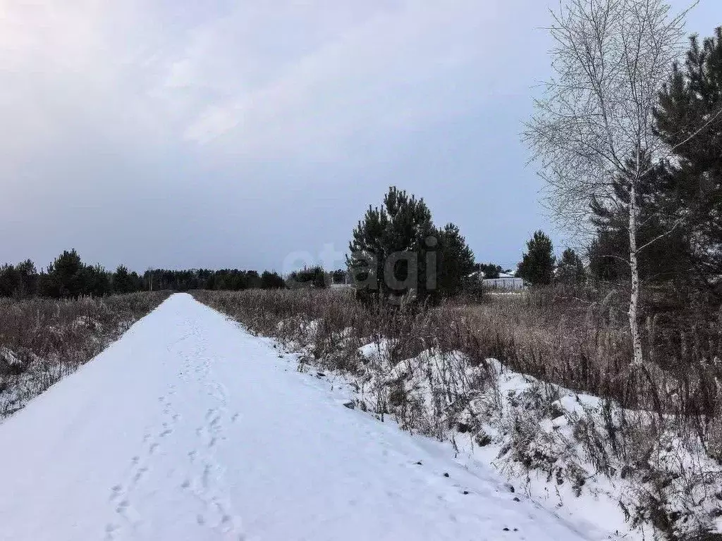 Участок в Тюменская область, Нижнетавдинский муниципальный округ, ... - Фото 1