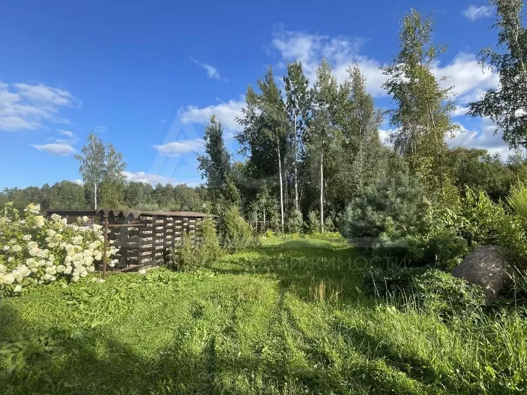 Участок в Ленинградская область, Приозерский район, Ларионовское ... - Фото 1