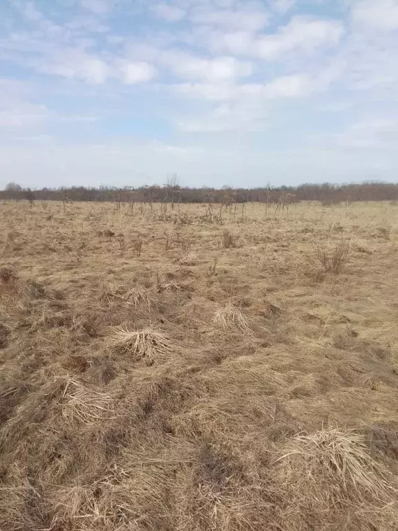 Участок в Псковская область, Плюсский муниципальный округ, д. Большие ... - Фото 1