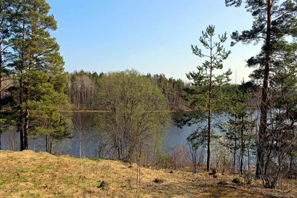 Участок в Карелия, Лахденпохский муниципальный округ, пос. Лумиваара  ... - Фото 2