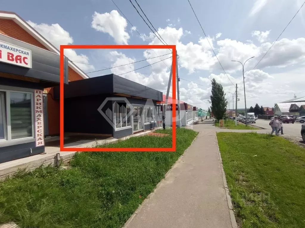 Помещение свободного назначения в Татарстан, с. Пестрецы ул. ... - Фото 0