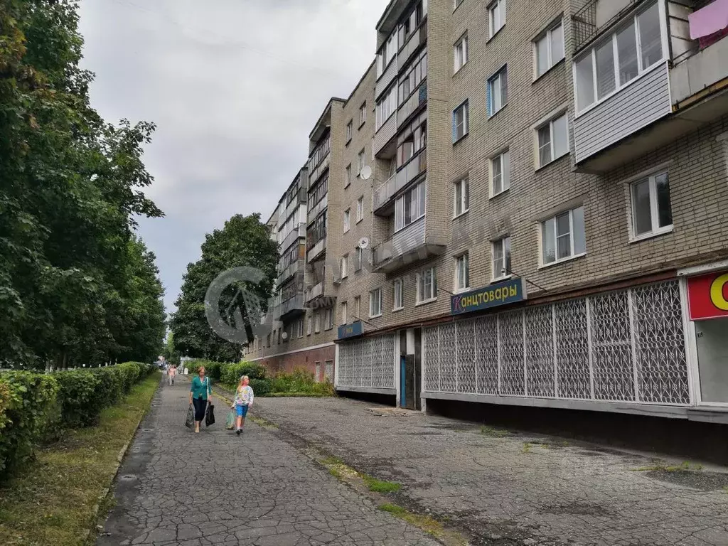 Торговая площадь в Владимирская область, Владимир ул. Егорова, 2 (247 ... - Фото 1