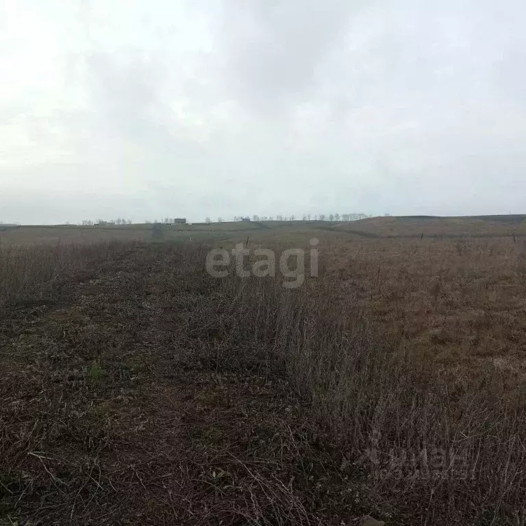 Участок в Башкортостан, Стерлибашевский сельсовет, с. Стерлибашево ул. ... - Фото 2