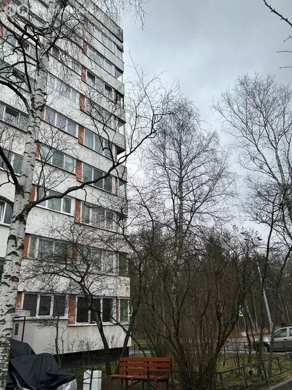 1-комнатная квартира: Санкт-Петербург, улица Козлова, 25к1 (32.5 м) - Фото 1