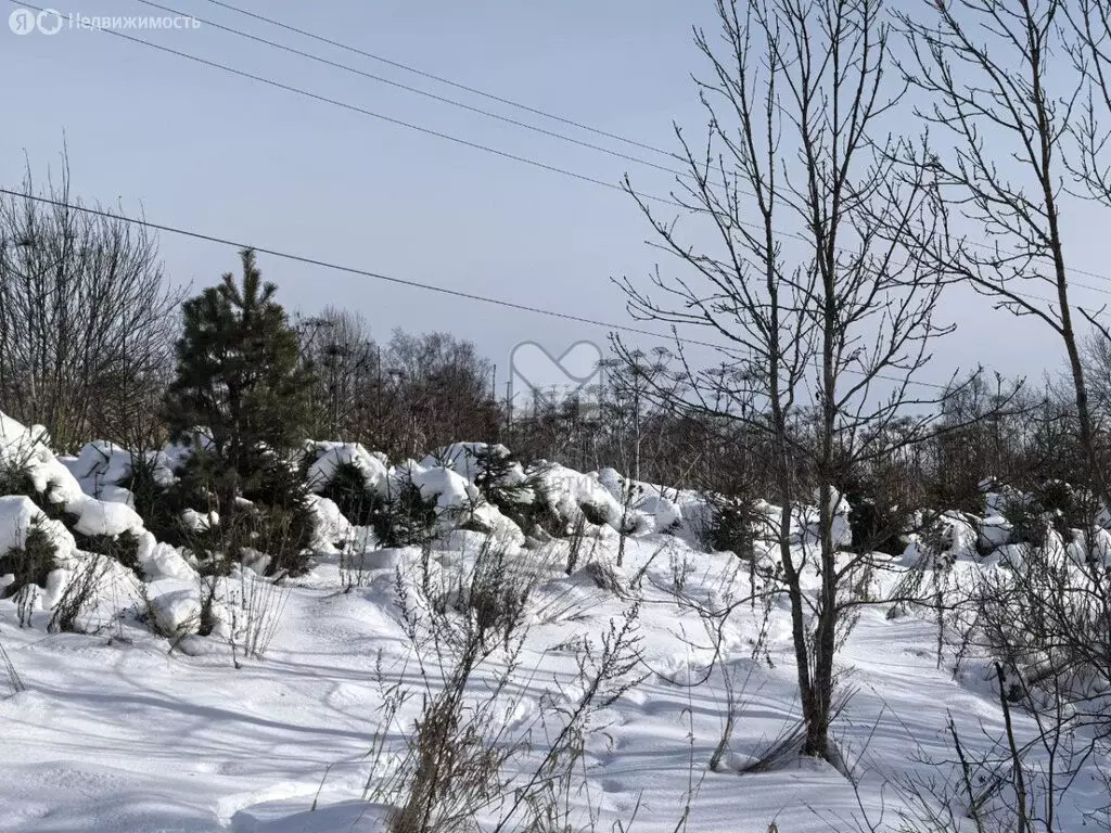 Участок в посёлок Серебрянский, Новая улица (30 м) - Фото 1