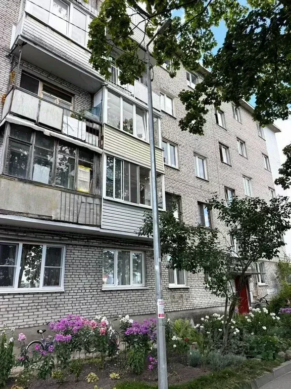 2-к кв. Ленинградская область, Приозерск ул. Чапаева, 20 (46.0 м) - Фото 1