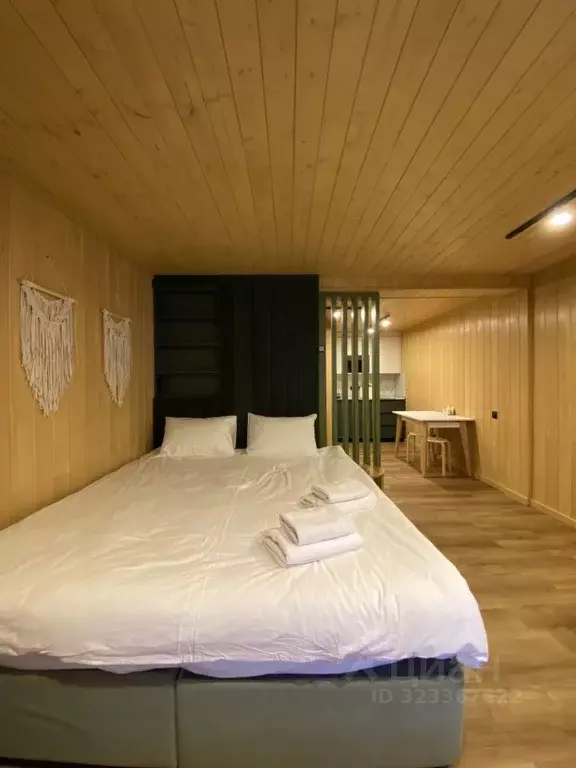 Комната Алтай, Усть-Коксинский район, с. Усть-Кокса ул. Аргучинского, ... - Фото 2