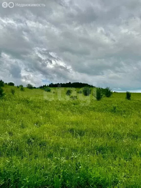 Участок в Солонешенский район, село Искра (6000 м) - Фото 0
