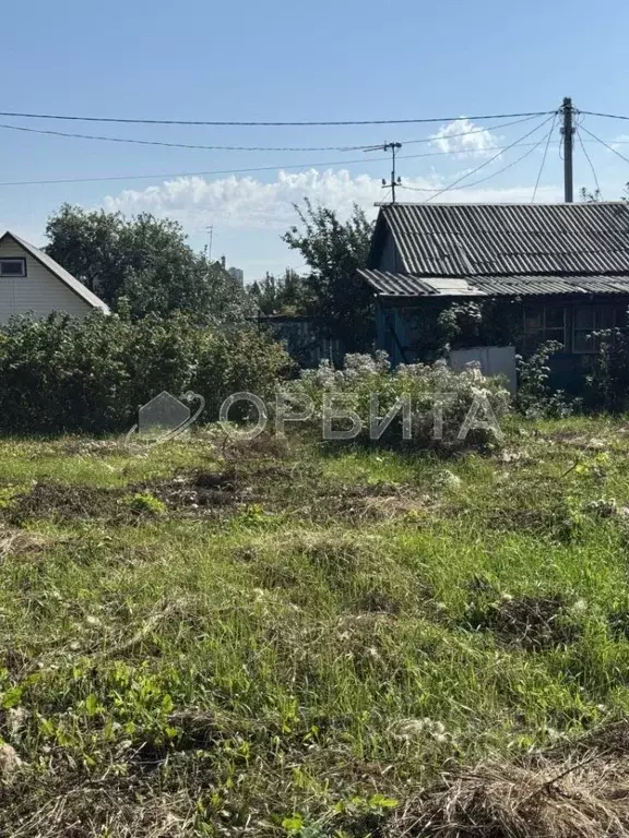 Дом в Тюменская область, Тюмень Аккумуляторщик-1 СНТ, ул. Центральная, ... - Фото 0