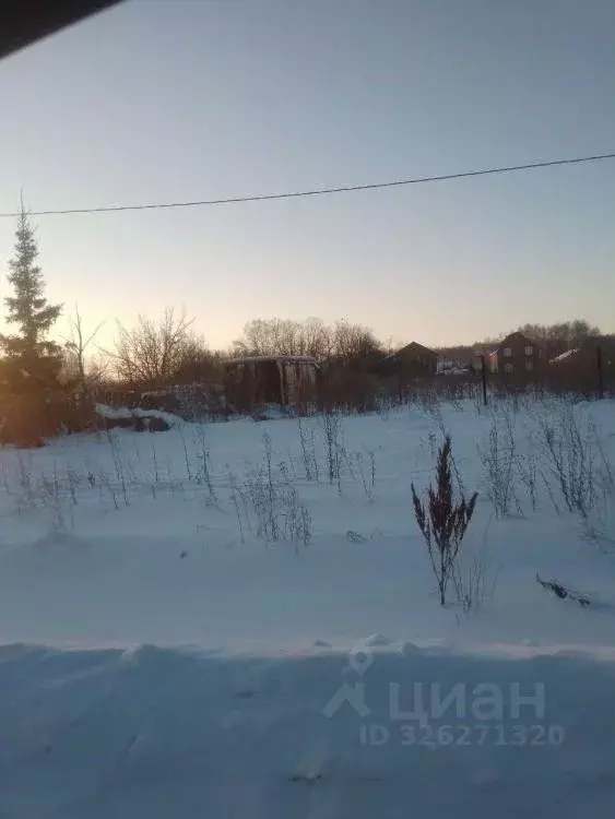 Участок в Омская область, Омский район, Пушкинское с/пос, д. Давыдовка ... - Фото 2