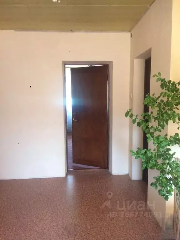 2-к кв. Севастополь ул. Килевая, 10 (65.0 м) - Фото 0