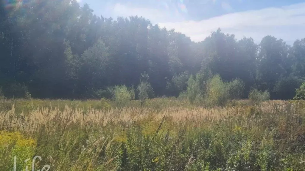 Участок в Московская область, Химки Новогорск мкр, ул. Заречная, ... - Фото 1