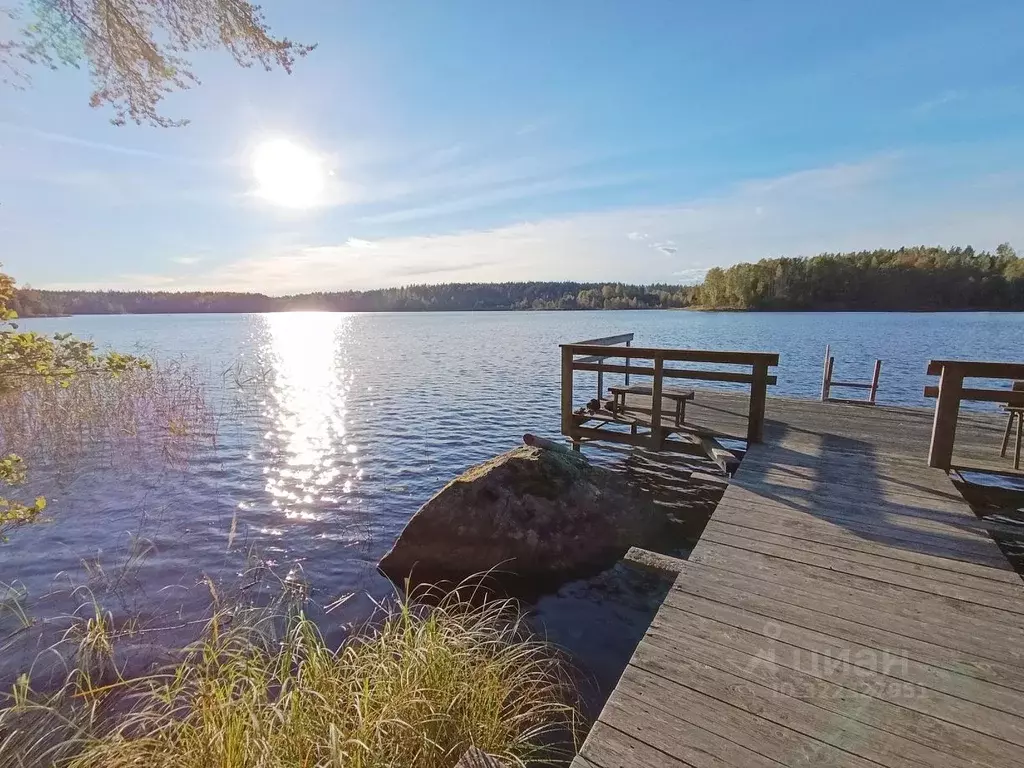 Участок в Ленинградская область, Приозерский район, Мельниковское ... - Фото 1