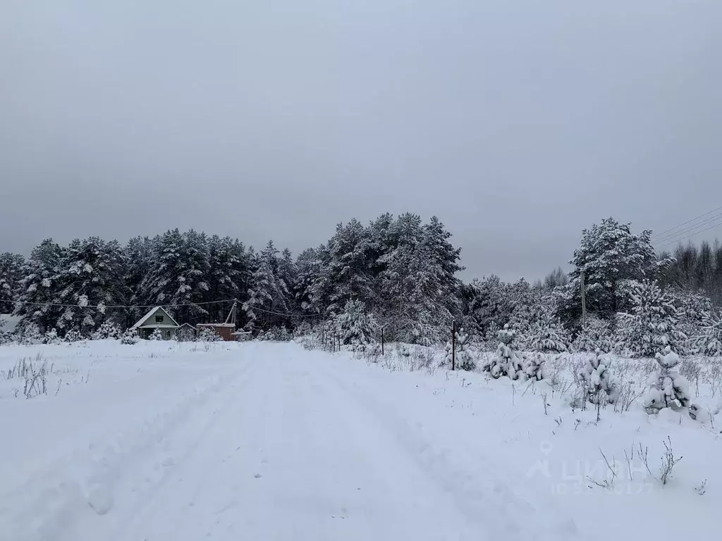 Участок в Новгородская область, Маловишерский район, д. Старые ... - Фото 1