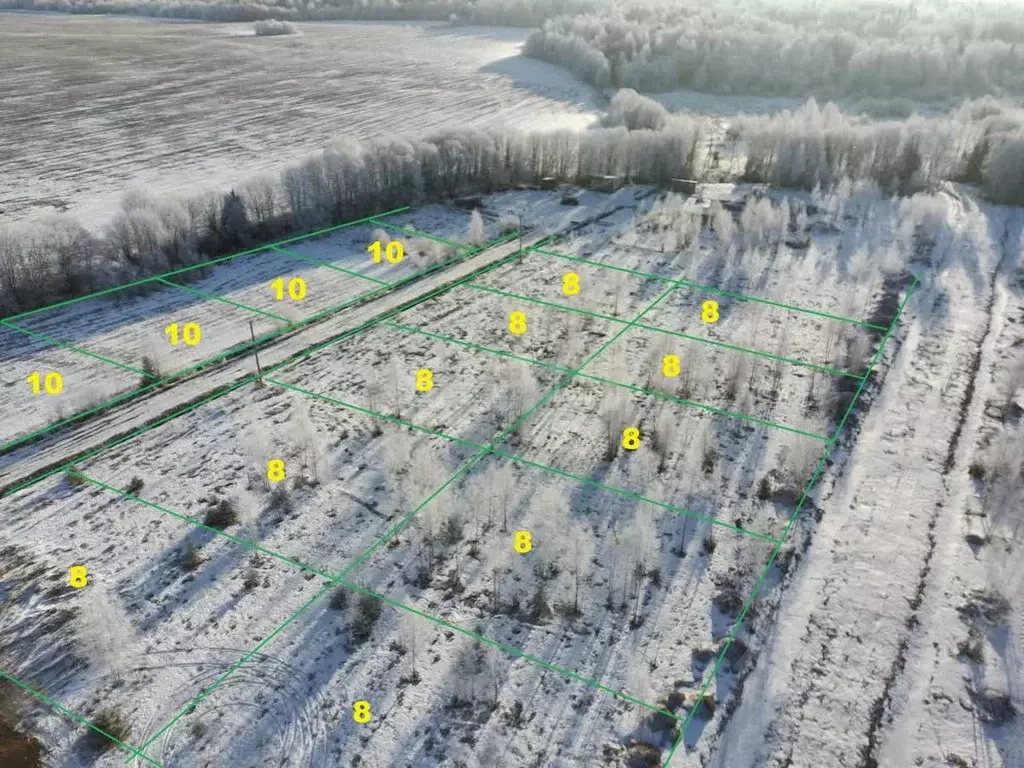 Участок в Вологодская область, д. Жилино ул. Николаевская (10.0 сот.) - Фото 1