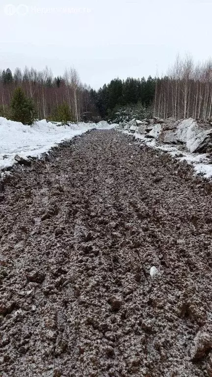 Участок в Зеленодольский район, Большеякинское сельское поселение, ... - Фото 1