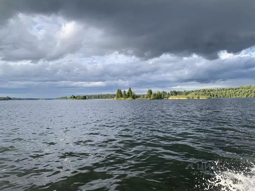 Участок в Новгородская область, Валдайский район, Ивантеевское с/пос, ... - Фото 2