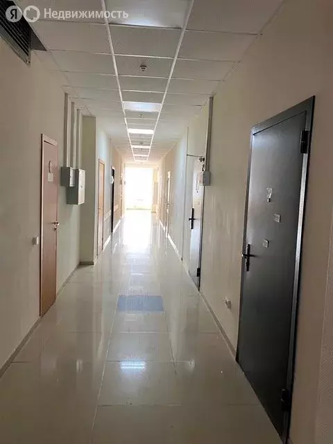 Офис (55 м) - Фото 1