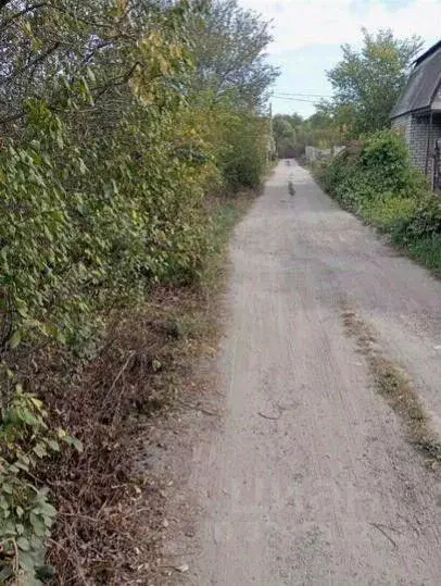 Участок в Белгородская область, Старый Оскол Разлив садовые участки, ... - Фото 1