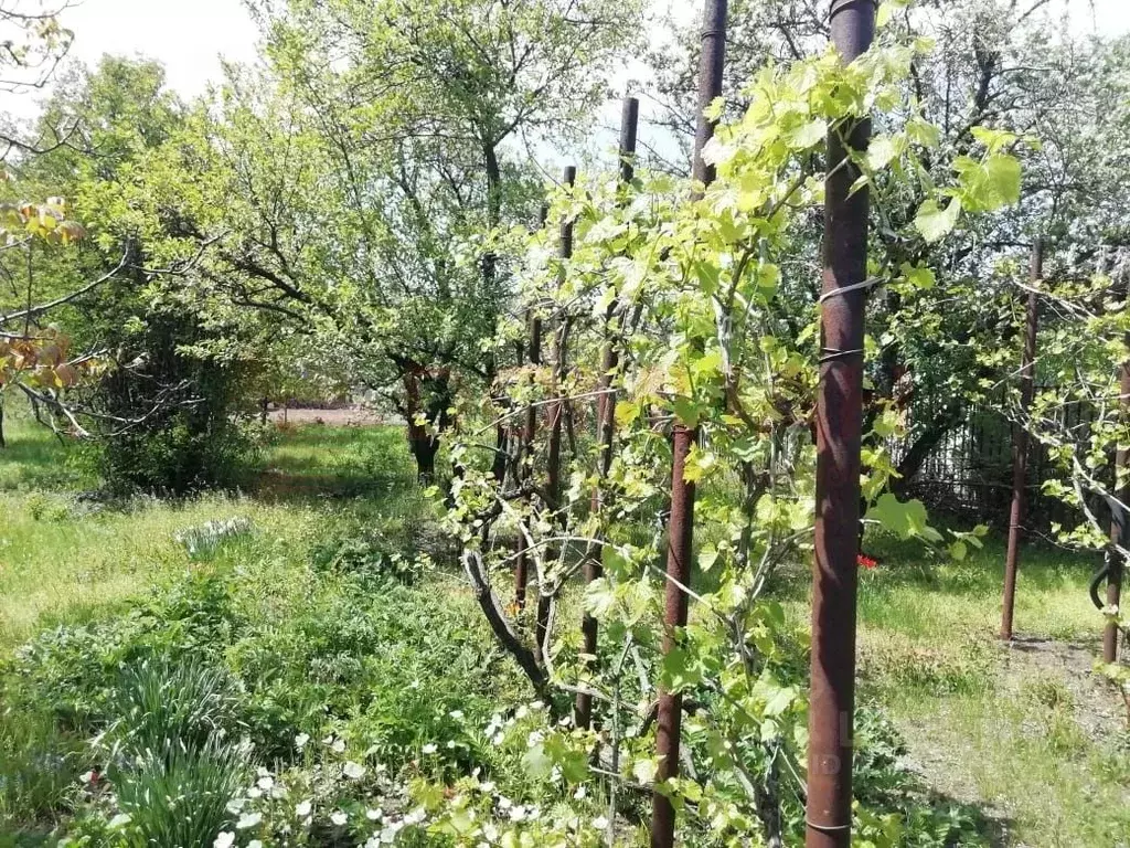 Участок в Ростовская область, Новочеркасск Харьковское ш., 40 (6.0 ... - Фото 2