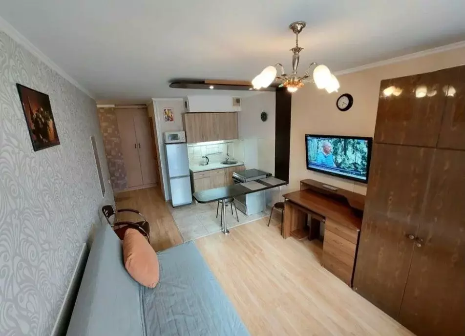 Студия Московская область, Солнечногорск городской округ, Андреевка ... - Фото 1