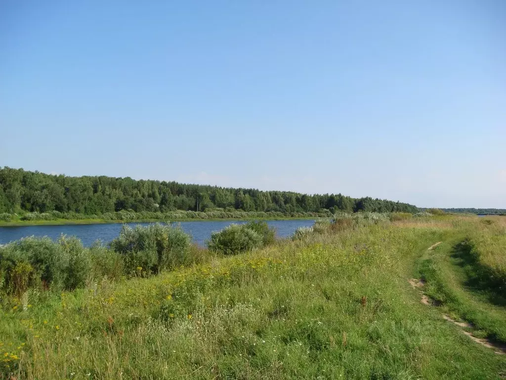 Участок в Псковская область, Палкинский район, д. Лещихино  (930.0 ... - Фото 0