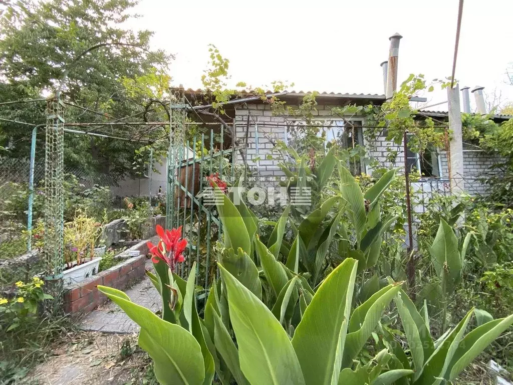 Участок в Краснодарский край, Геленджик Просторная ул., 1Г (6.7 сот.) - Фото 2