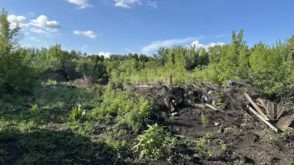 Участок 6,9 сот. (СНТ, ДНП) - Фото 0