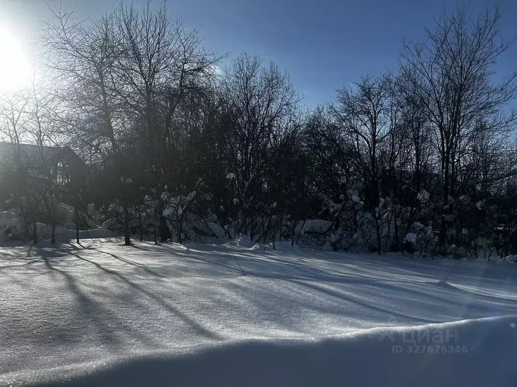 Участок в Московская область, Ступино городской округ, с. Большое ... - Фото 1