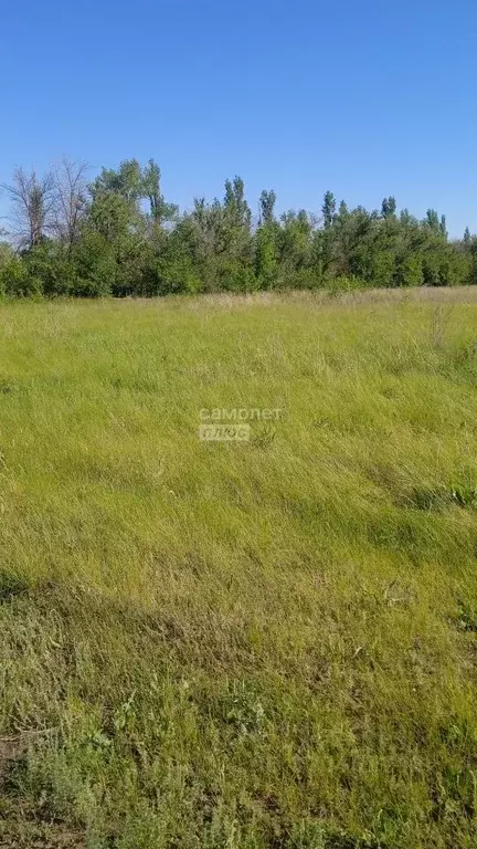 Участок в Саратовская область, Энгельсский район, Красноярское ... - Фото 1