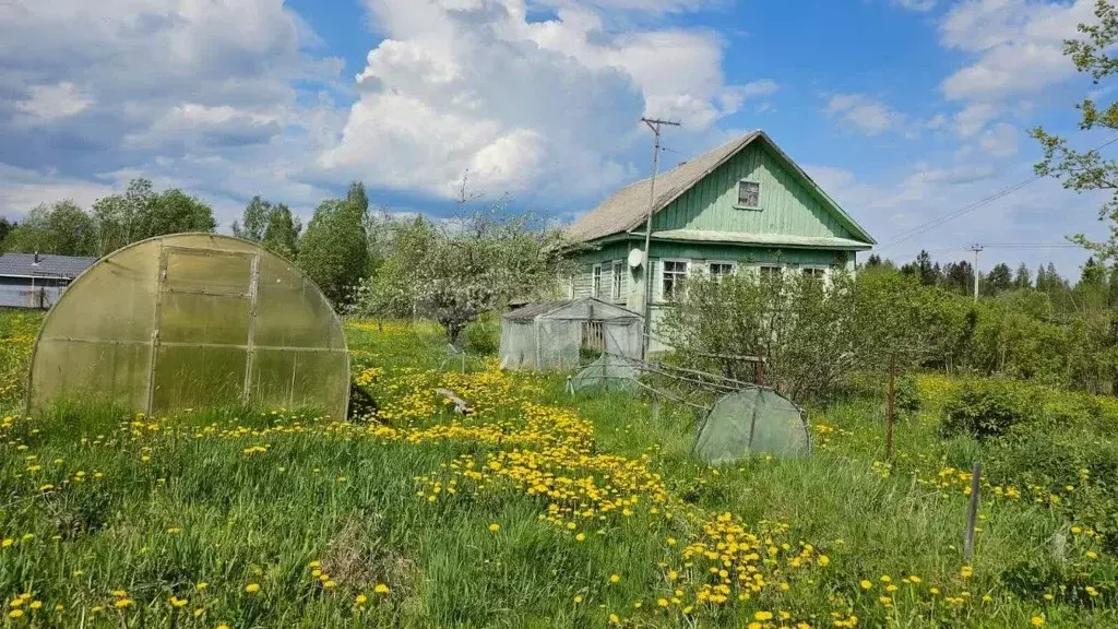 Дом в Новгородская область, Любытинский муниципальный округ, ... - Фото 1