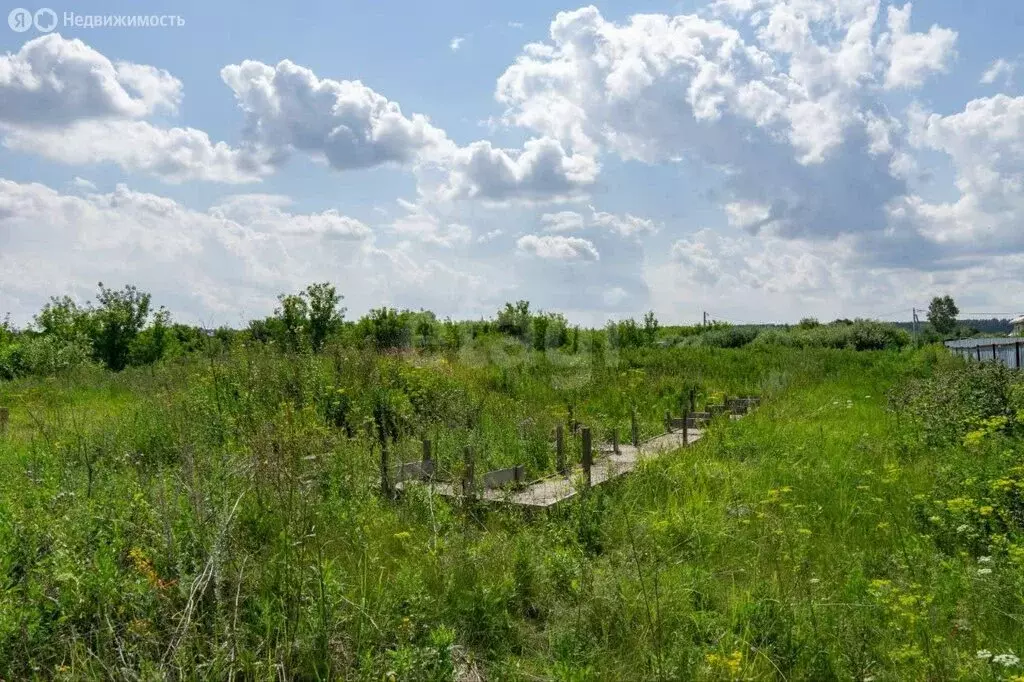 Участок в Тукаевский район, Малошильнинское сельское поселение (7.79 ... - Фото 2