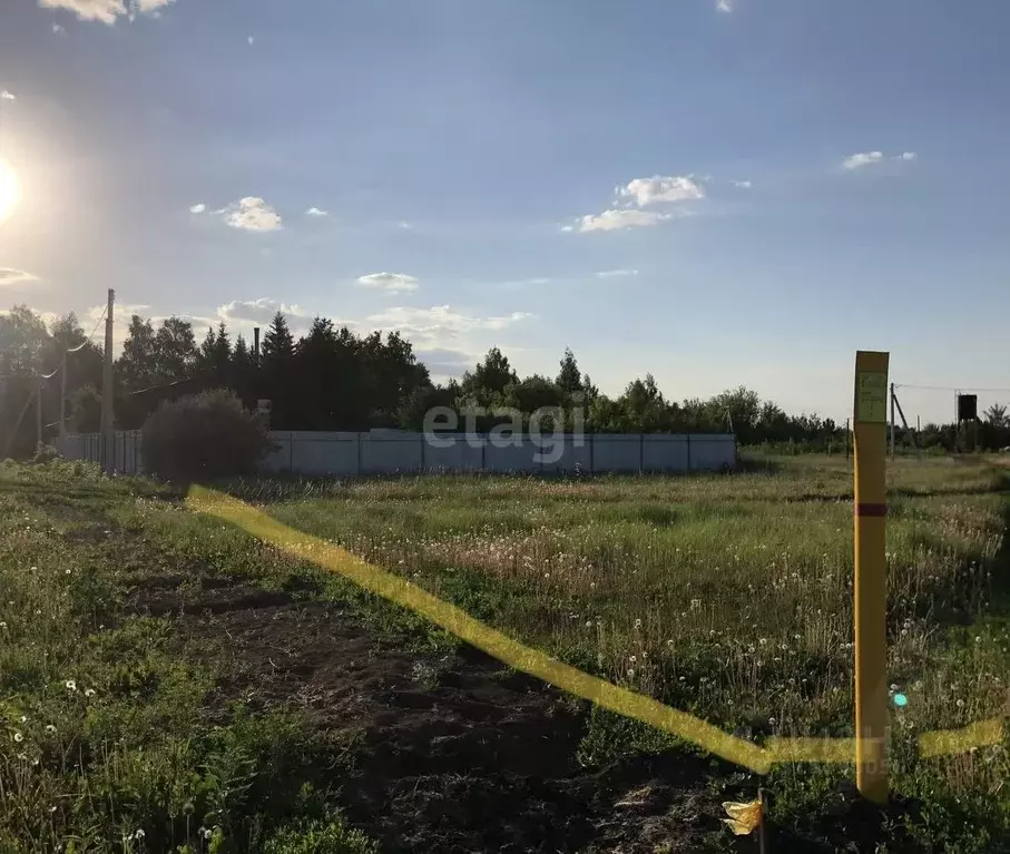 Участок в Тамбовская область, Тамбовский муниципальный округ, д. ... - Фото 1