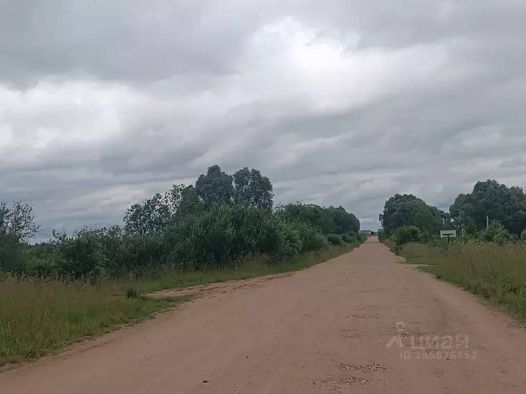 Участок в Новгородская область, Новгородский район, Ракомское с/пос, ... - Фото 1