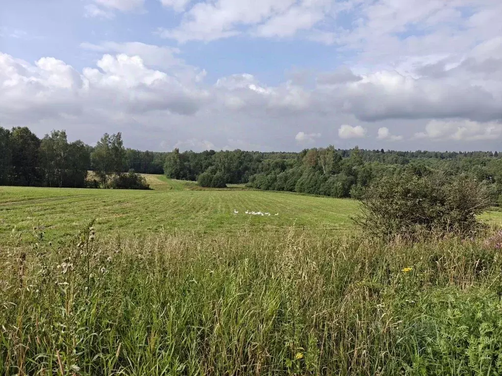 Участок в Московская область, Сергиево-Посадский городской округ, д. ... - Фото 1