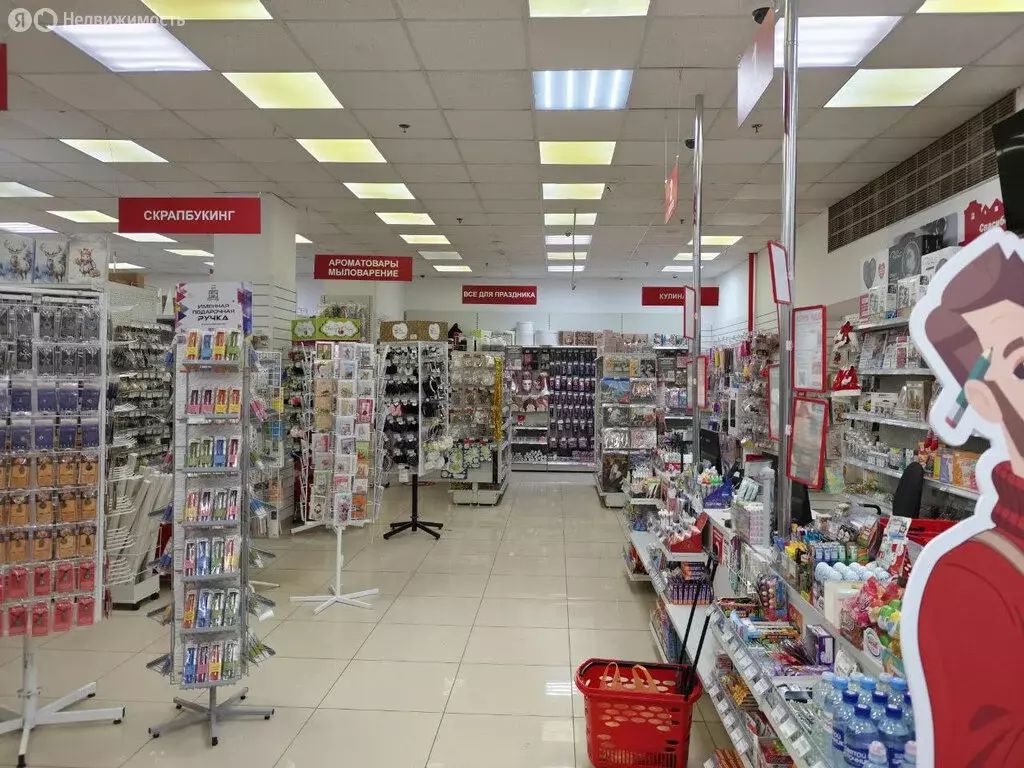 Помещение свободного назначения (506 м) - Фото 1