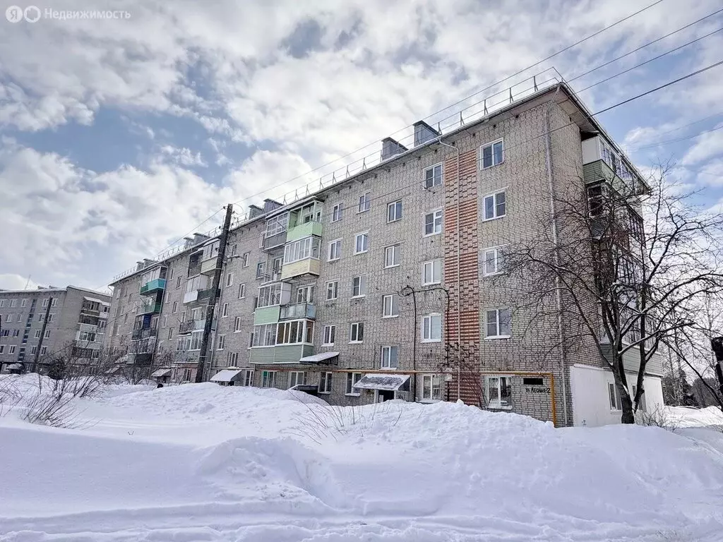 1-комнатная квартира: посёлок Бавлены, Лесная улица, 2 (29.3 м) - Фото 2