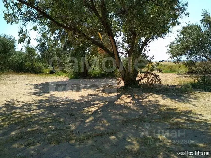 Участок в Крым, Сакский район, с. Молочное ул. Пионерская (8.0 сот.) - Фото 2