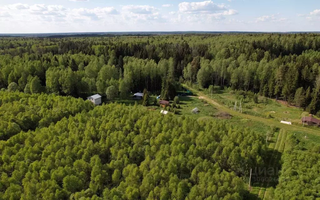 участок в московская область, можайский городской округ, лесные . - Фото 1